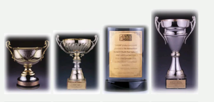 About Sagee Canda Wellness Awards Achievements