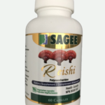 reishi1 mushroom.png