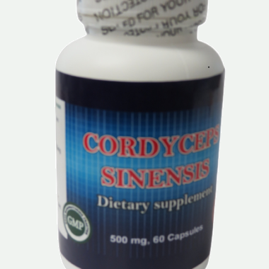 Cordyceps Sinensis 1 bottle