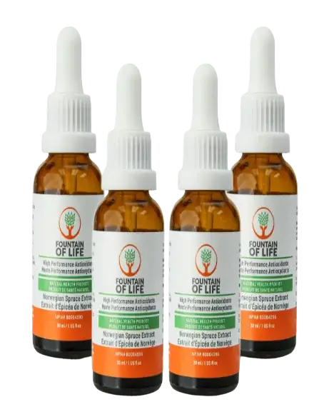 Fountain of Life Four Bottle Pack