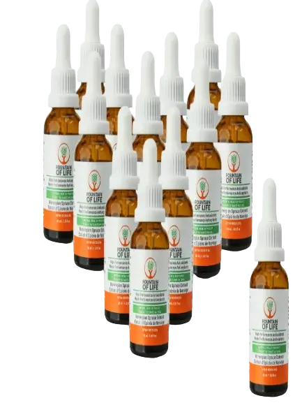Fountain of Life Fourteen Bottles Pack