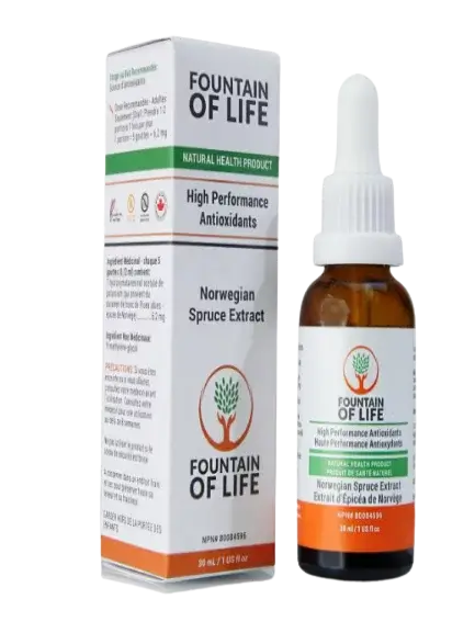 Fountain of Life One Bottles Pack