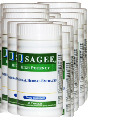 Sagee Brain Health import placeholder for 4517