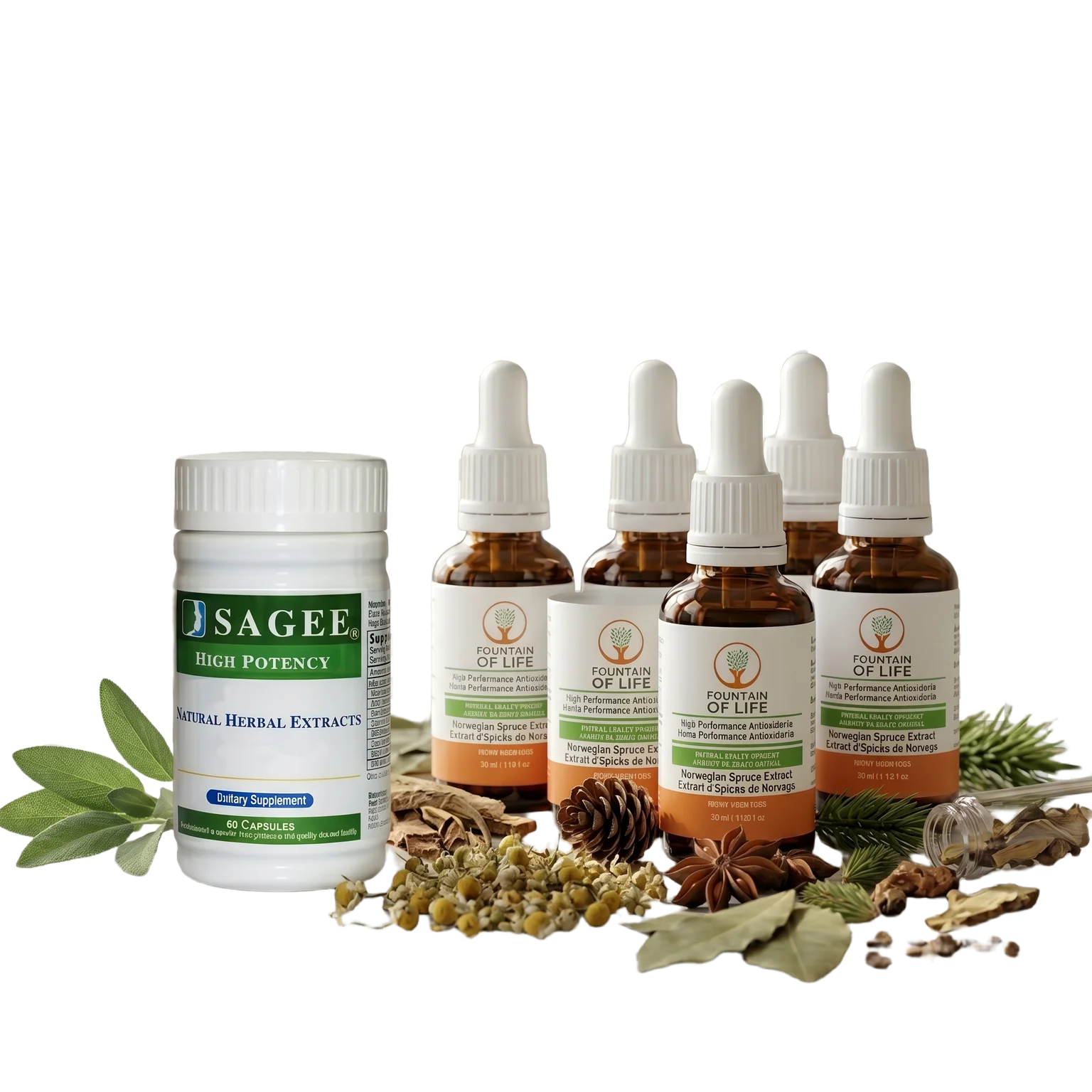Traditional Chinese Medicine